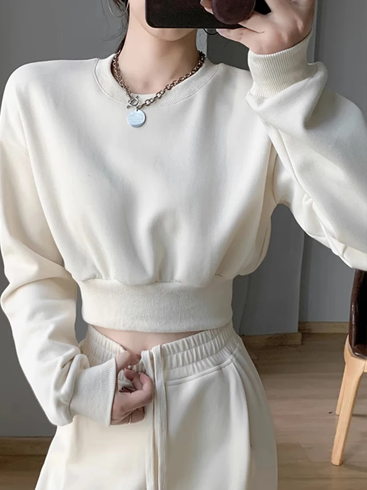 Lockerer langer Rundhals-Sweatshirt für Damen, Frühling/Herbst, neues Design, Bauchfreier Schnitt, koreanische Version, Top-Trend