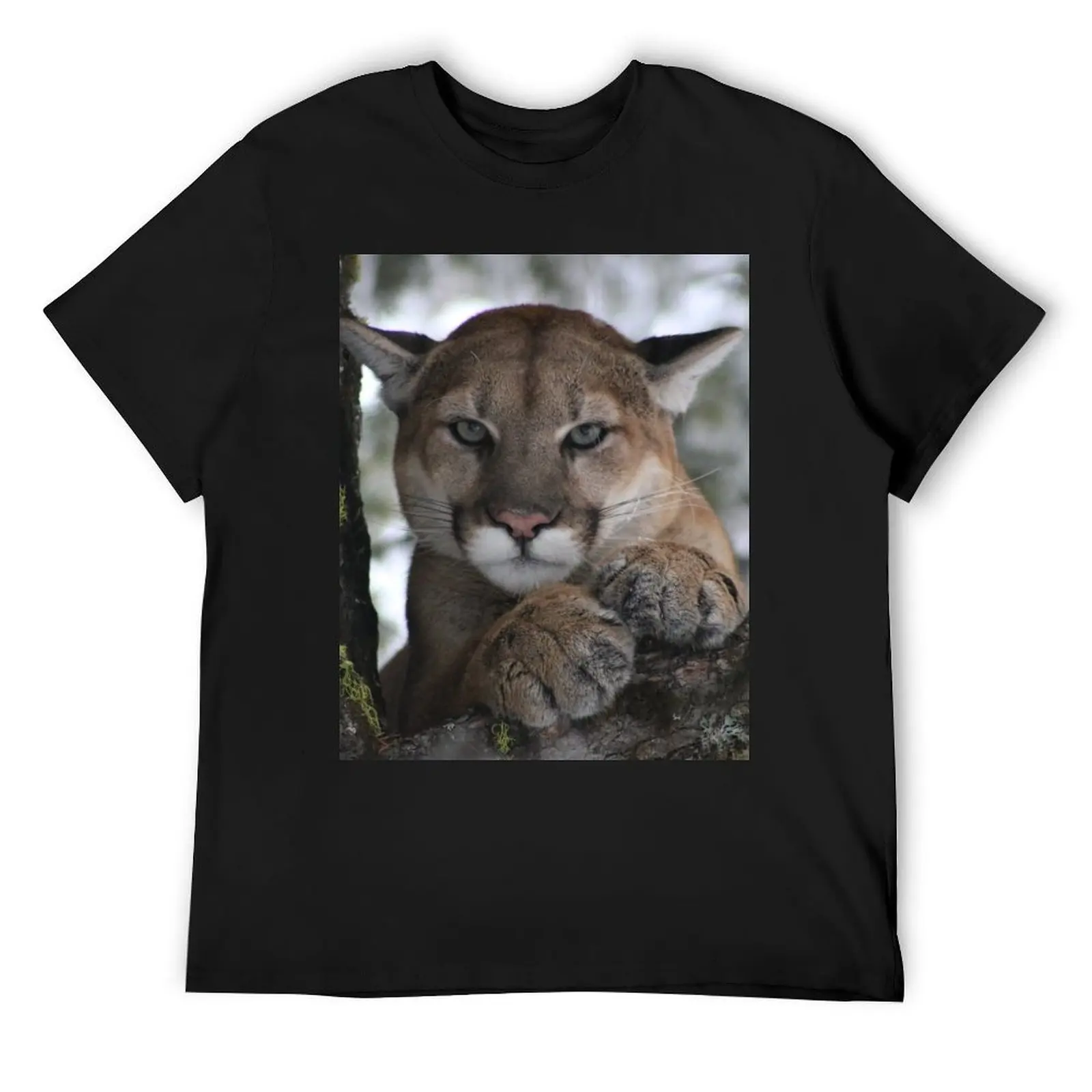 

Cougar (Mountain Lion) Photograph T-Shirt street wear summer tops shirts graphic tee men clothes