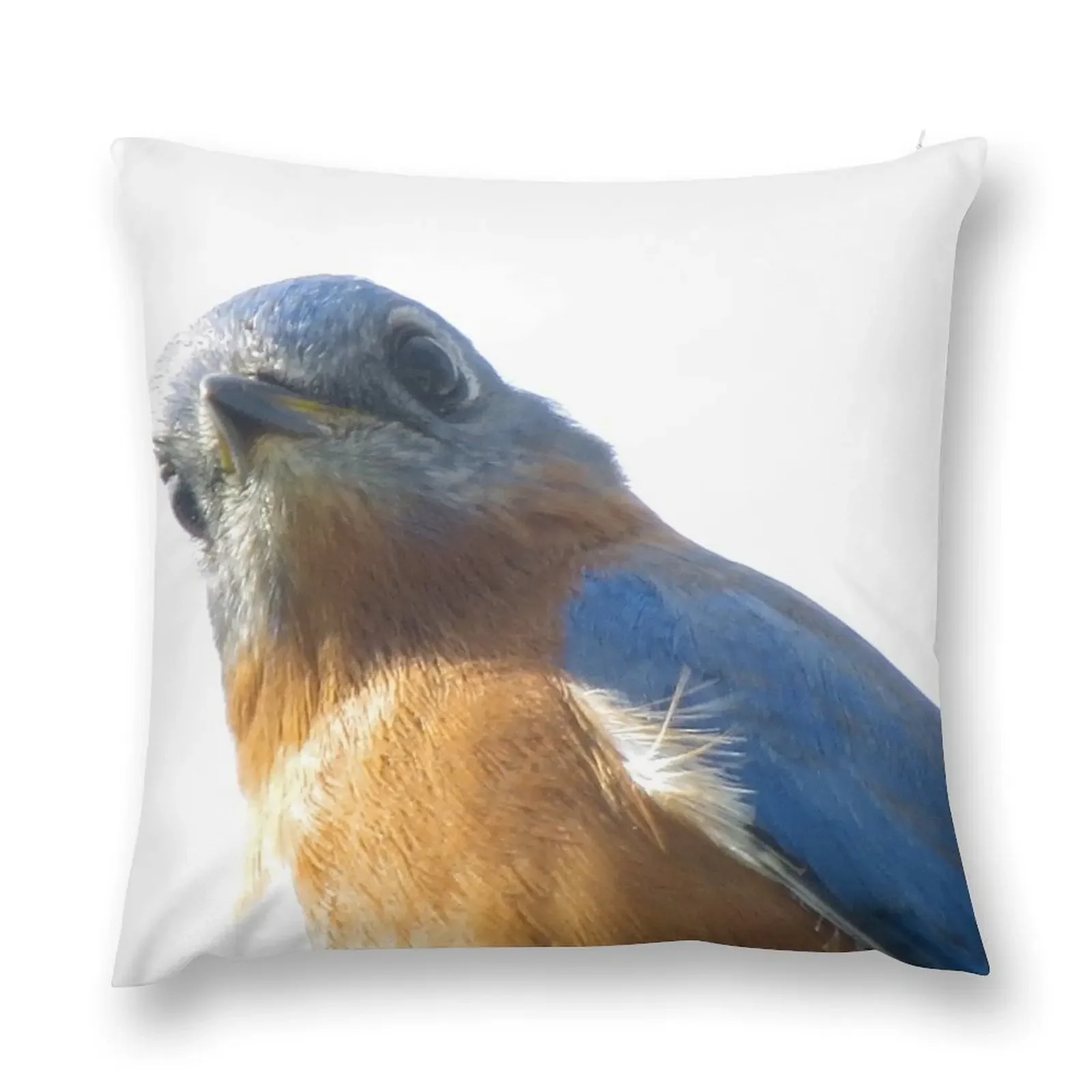 I see you too, Mr. Blue! Throw Pillow Luxury Sofa Cushions Christmas Pillowcase Couch Cushions pillow