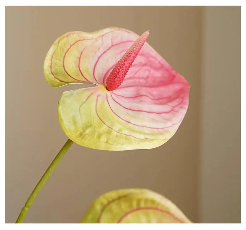 10 teile/los 3d Druck Anthurium künstliche Blumen für Haupt dekoration Pflanze Topf Hochzeit Brial Bouquet Party Tisch Blumen – Detail 10