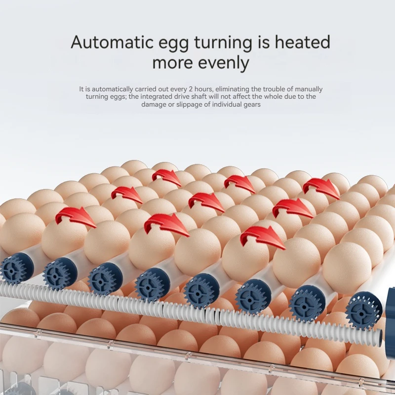 Hot sale 232 Egg Incubator Hatcher Digital Goose Capacity Chicken Turning Automatic Temperature Control Energy-saving small Size