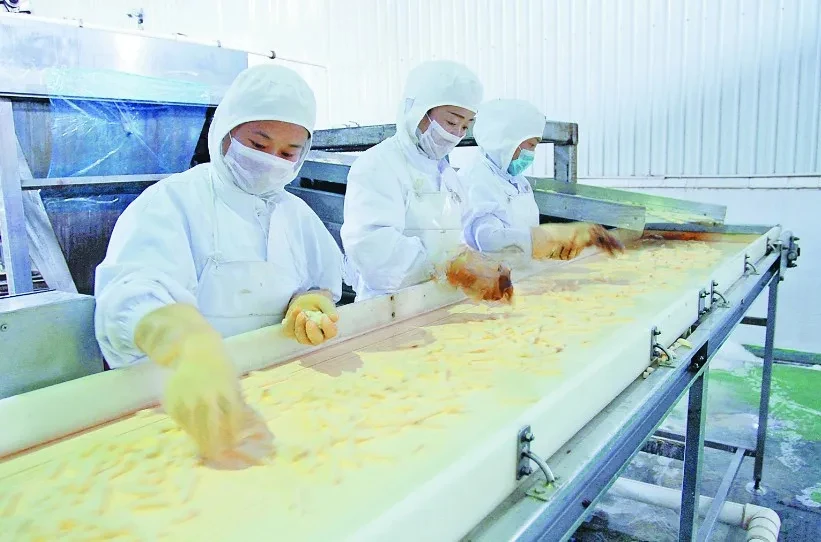 Línea de producción industrial de patatas fritas Máquina para lavar y pelar patatas