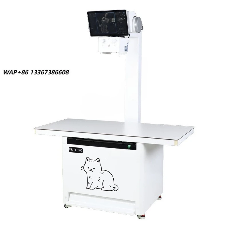 MT MEDICAL Hot Sale Medical Animal Hospital Pet Scanning DR Equipment Digital Dynamic Veterinary CT X-Ray Machine for Examinatio