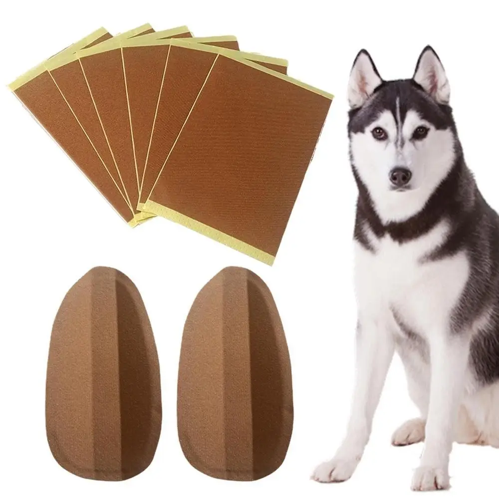 

Vertical Pinscher Dog Correct Pet Ear Correction Doberman Ear Care Tools Dog Supplies Dog Ear Erector Dog Ear Stand Up Stickers