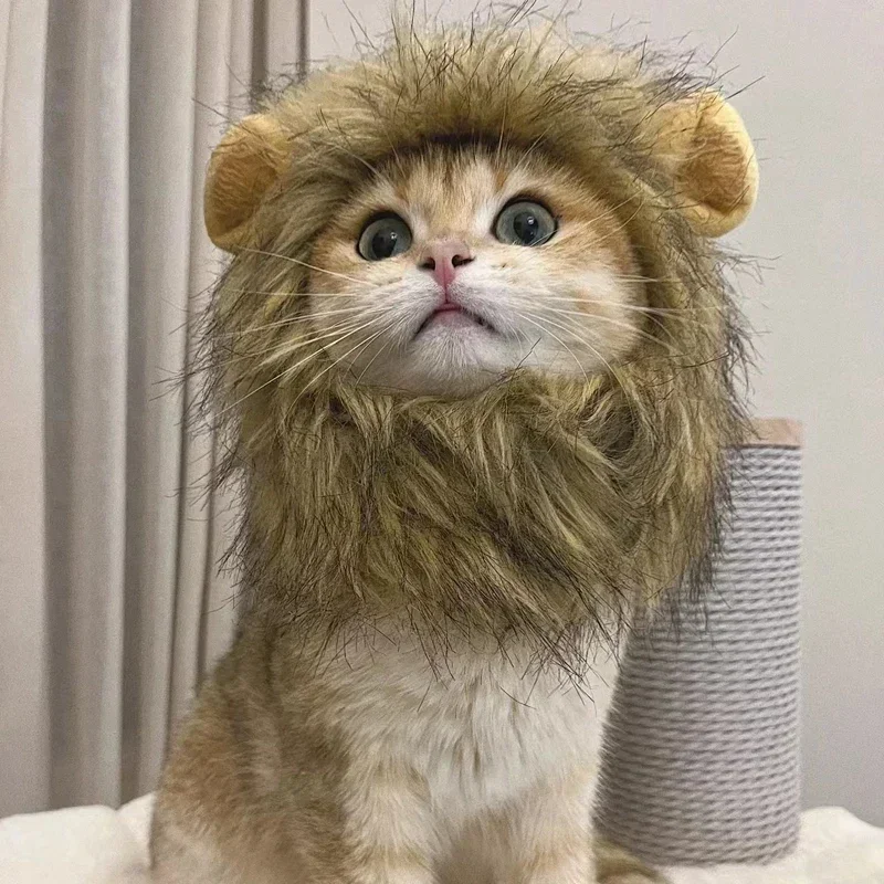 Pet Hat Cute Funny Lion Mane Wig Hat for Pets Cat Dog Cosplay Costume with Ears Fancy Party Supplies Pet Festival Decoration