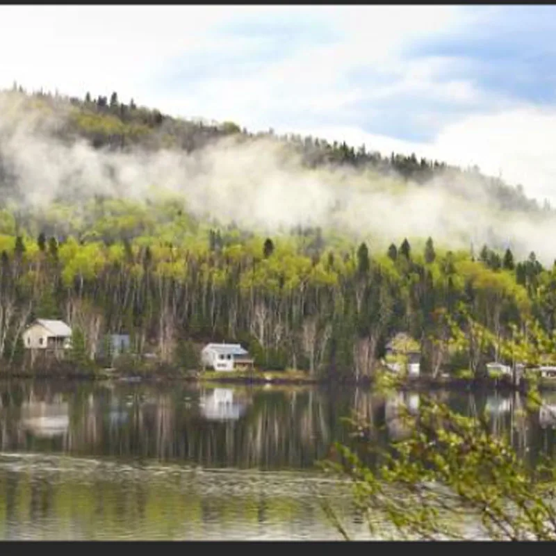 

High Quality JX Servo PDI-HV1611MG 16g 11KG Metal Gear Digital Core Servo 4.8-8.4V For RC Car Helicopter Crawler Drones