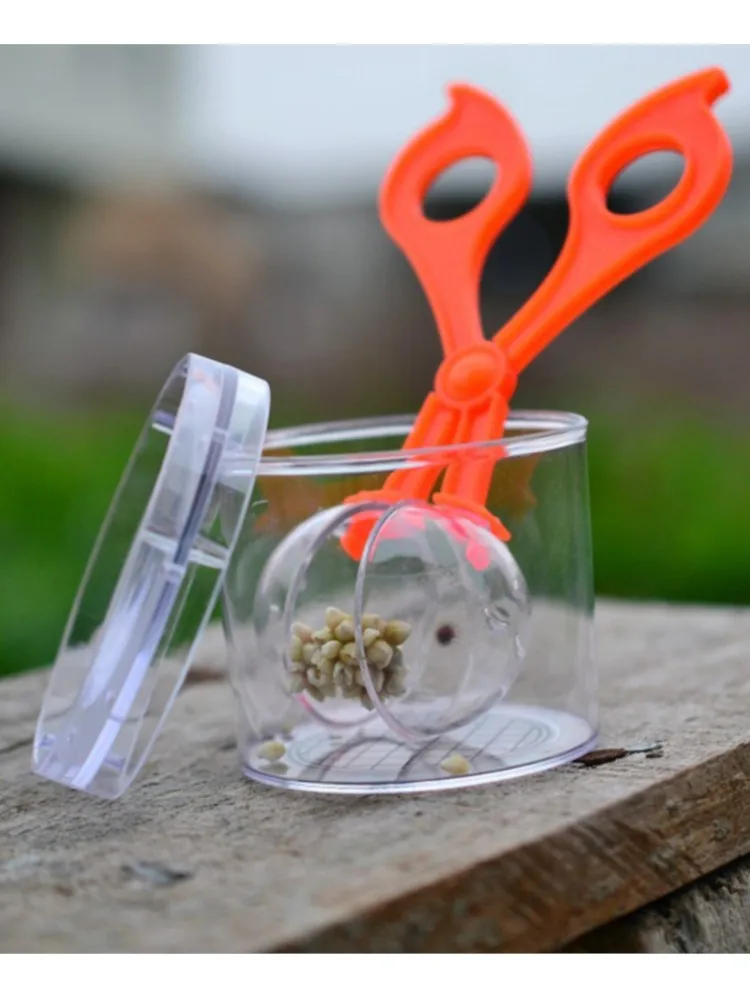子供向け自然探検おもちゃキット 植物昆虫研究ツール プラスチックはさみクランプとピンセット モンテッソーリおもちゃ用品