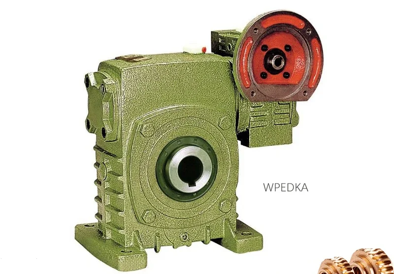 Double stage worm gear reducer WPEDKA two pole combination WPEDKS variable speed gearbox reducer WPEDKA60-100