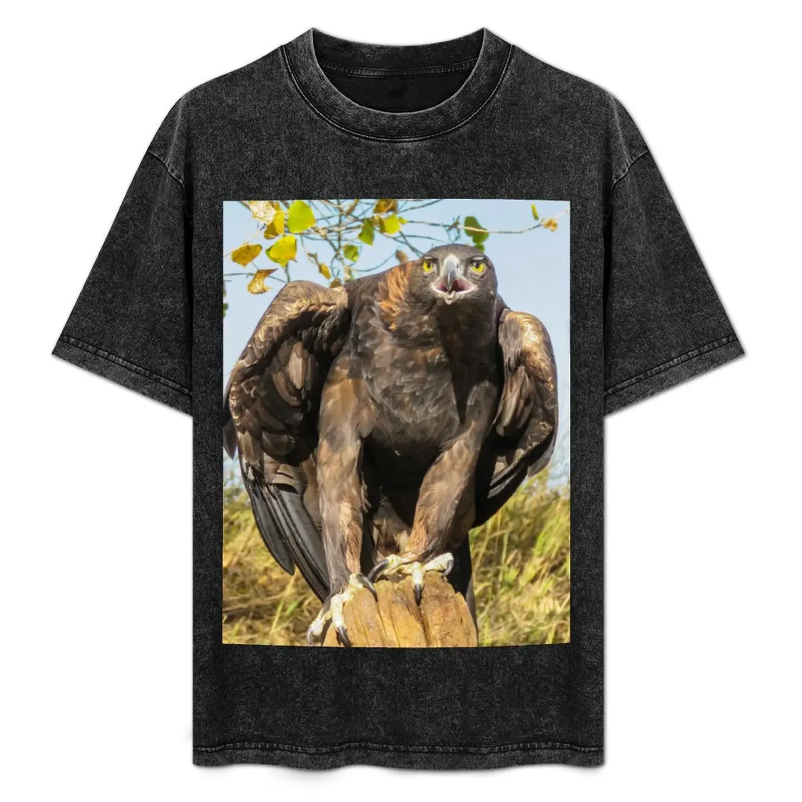 

Golden Eagle T-Shirt affliction shirts vintage t shirts summer shirt anime Men's t-shirts