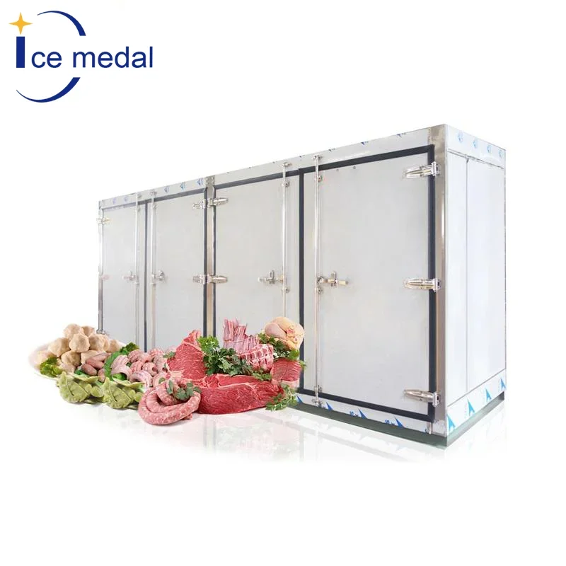 Easy to install cold store freezer room cold storage for food storage