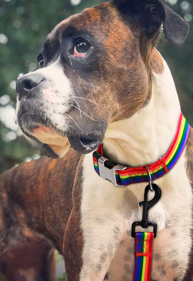 Waldmuster-Halsband für Haustiere, gestreift, aus Polyester, im nationalen Stil, verstellbares Nylon-Hundehalsband, personalisiert – Detail 8