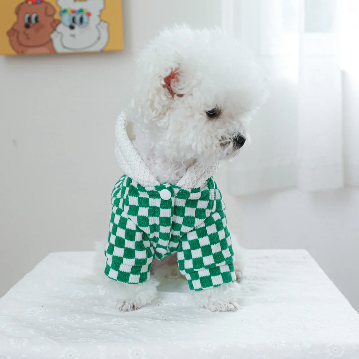 1PC Pet clothing Dog Cat Spring and Autumn green and white style California hat coat suitable for small and medium-sized dogs