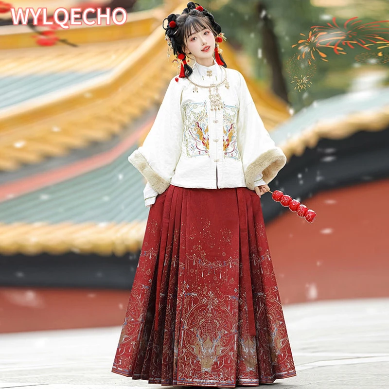 Trajes tradicionais chineses femininos, hanfu, saia bordada com rosto de cavalo, pelúcia e grossa, roupas de ano novo, estilo Ming