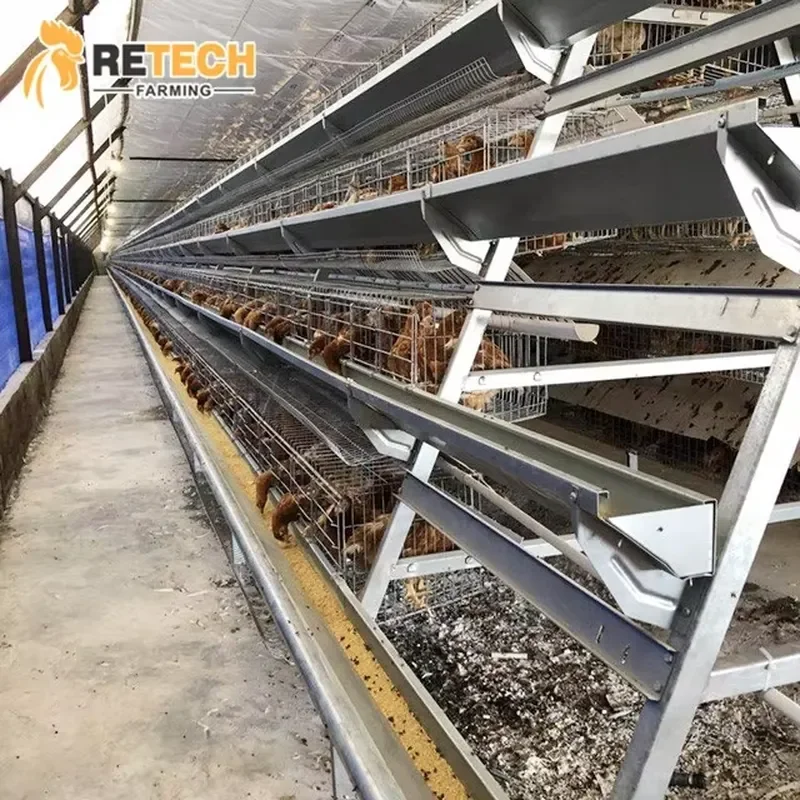Automatic Battery Chicken Cage for Poultry Farm Egg Laying Hens Layer for Sale