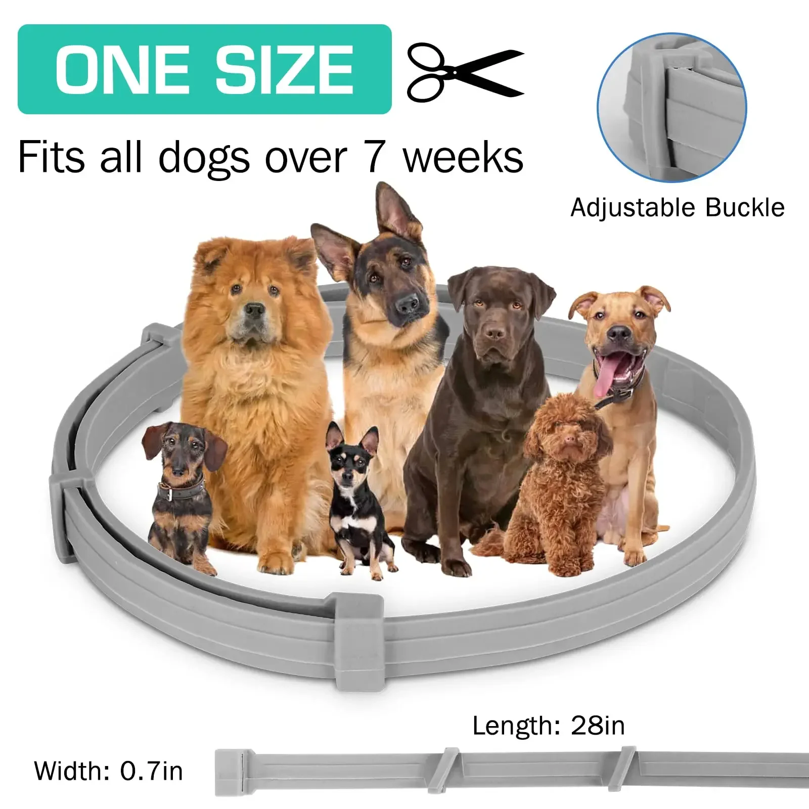 38/70CM Pet Anti Flea Ticks Antiparasitic Dog Cats Collar Protection Retractable Comfortable Breakaway Collars Kittens Large Dog