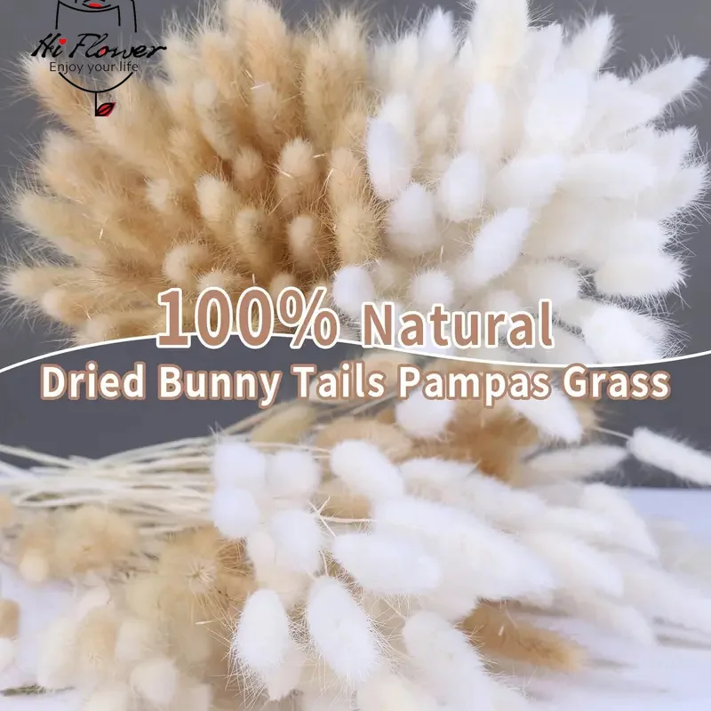 

100PCS Pampas Grass Dried Flowers Bunny Tail Grass Boho Farmhouse Country Wedding Home Room Decor Bouquet DIY Artificial Flowers