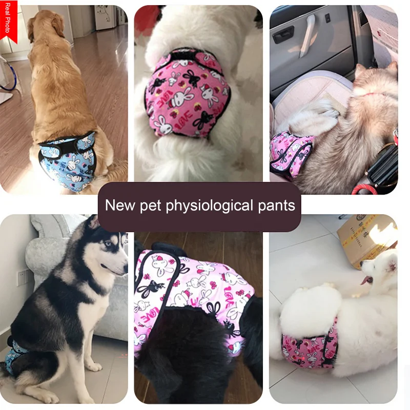 Large Dog Diaper Sanitary Physiological Pants Washable Female Dog Underwear Pets Dogs Supplies Forudesigns Dog Underwear