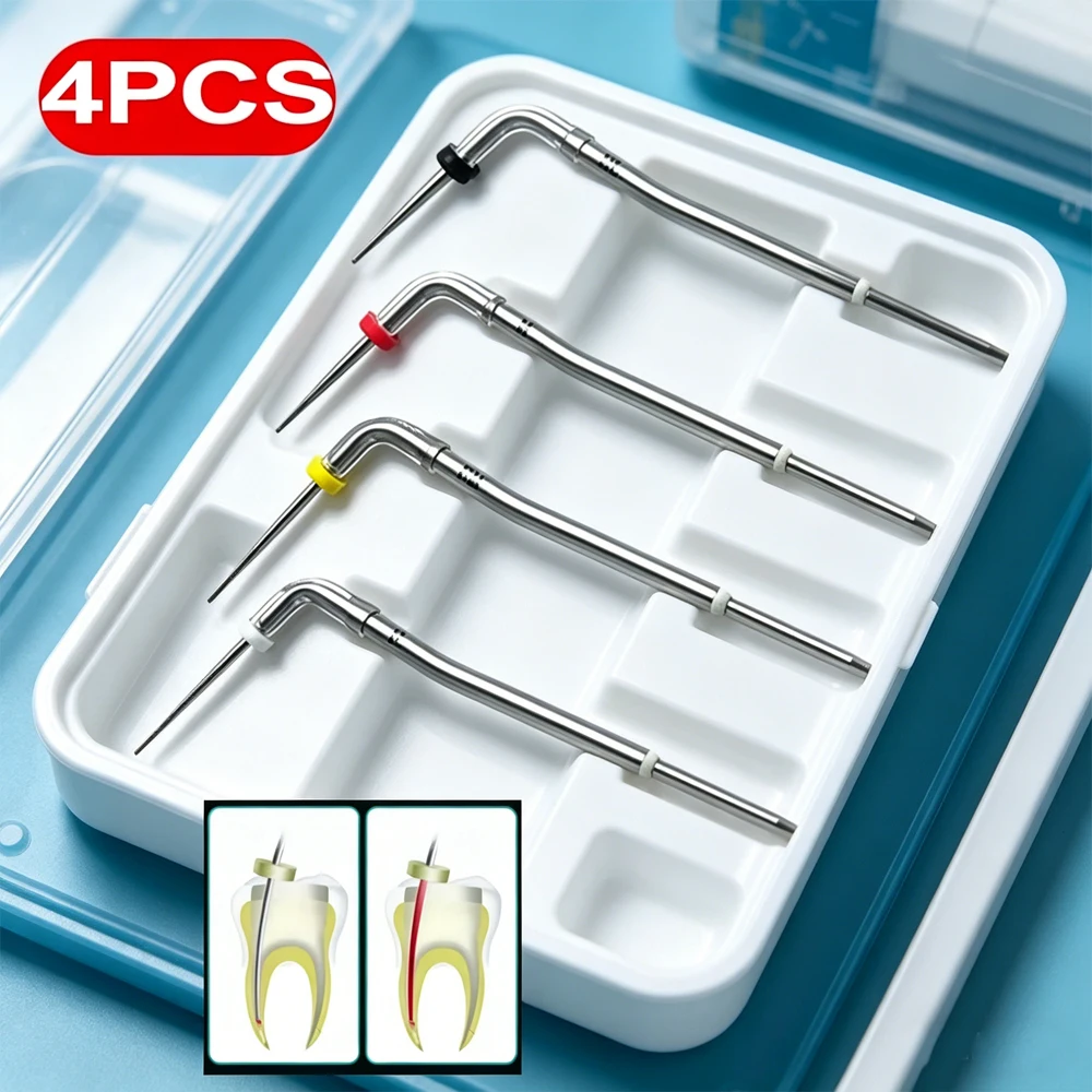 

4 Pcs Dental Heating Pluggers for Buchanan Type B System Gutta Percha Obturation Root Canal Filling with Heated Tips