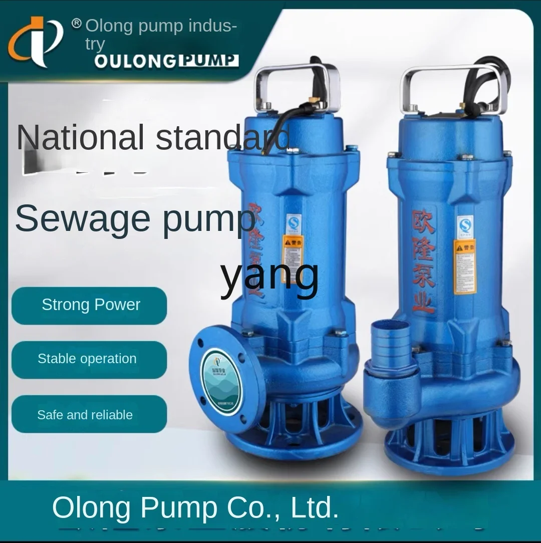 CX Sewage Pump Household Manure Pumping 220V High Lift Agricultural Pumper