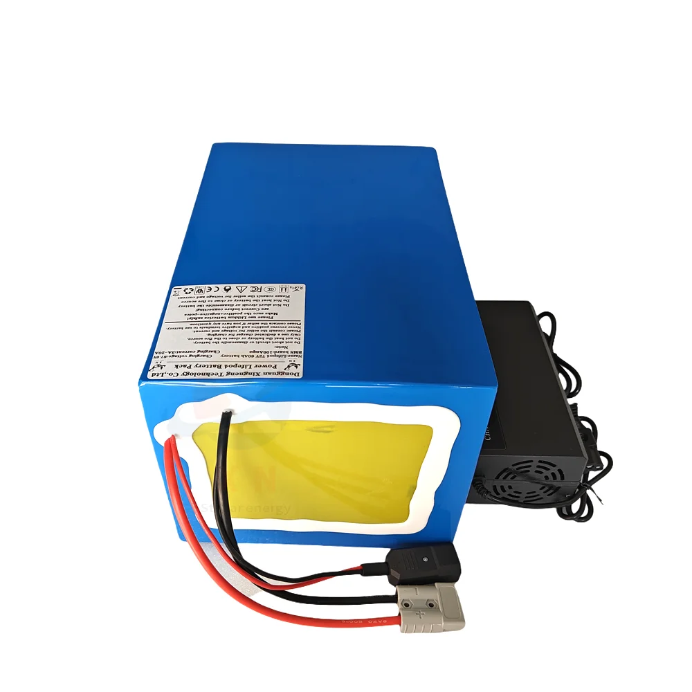 BMS 17S 60V 60Ah 80Ah 100Ah 150Ah Li-ion Battery Pack with Bluetooth for 1KW 2KW 3KW 6KW Golf Cart Rickshaw Tow Wheeler AGV