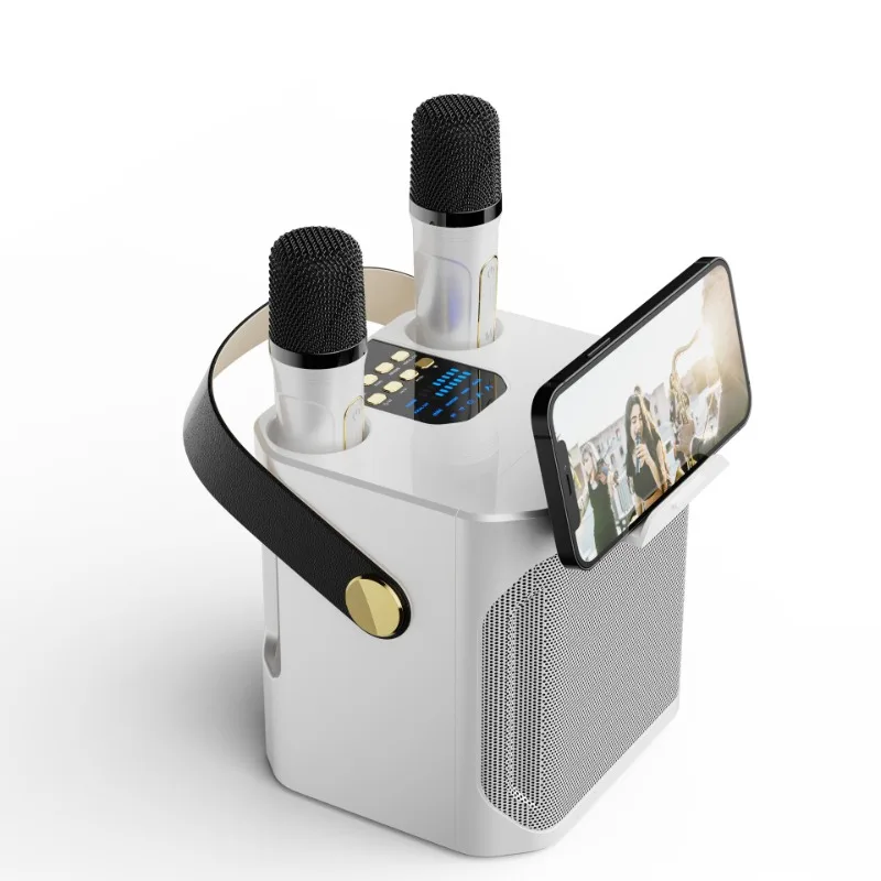 

Portable Karaoke Machine with 2 Wireless Microphones Bluetooth Speaker System for Home Party Outdoor Singing with DSP Sound