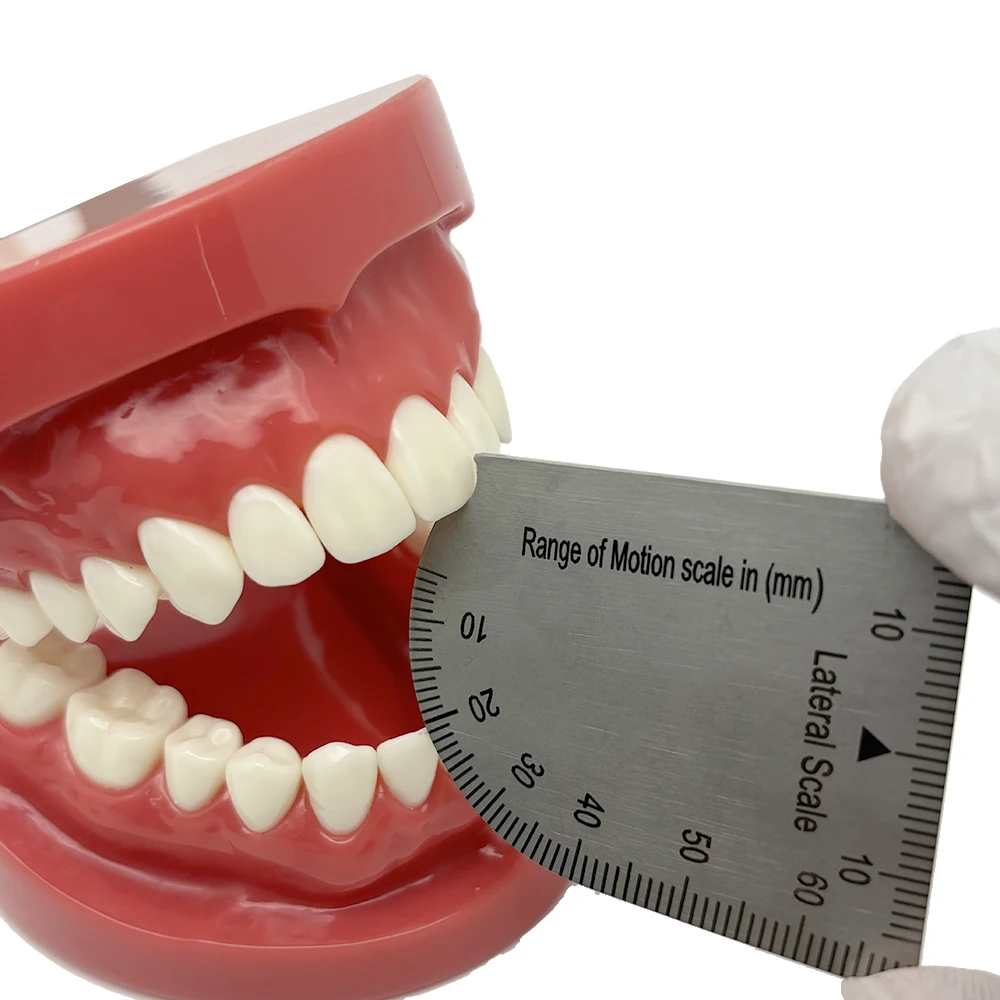 Dental Bite Gauge Bone Caliper Mouth Gag Opening Capacity Measuring Stainless Steel Ruler