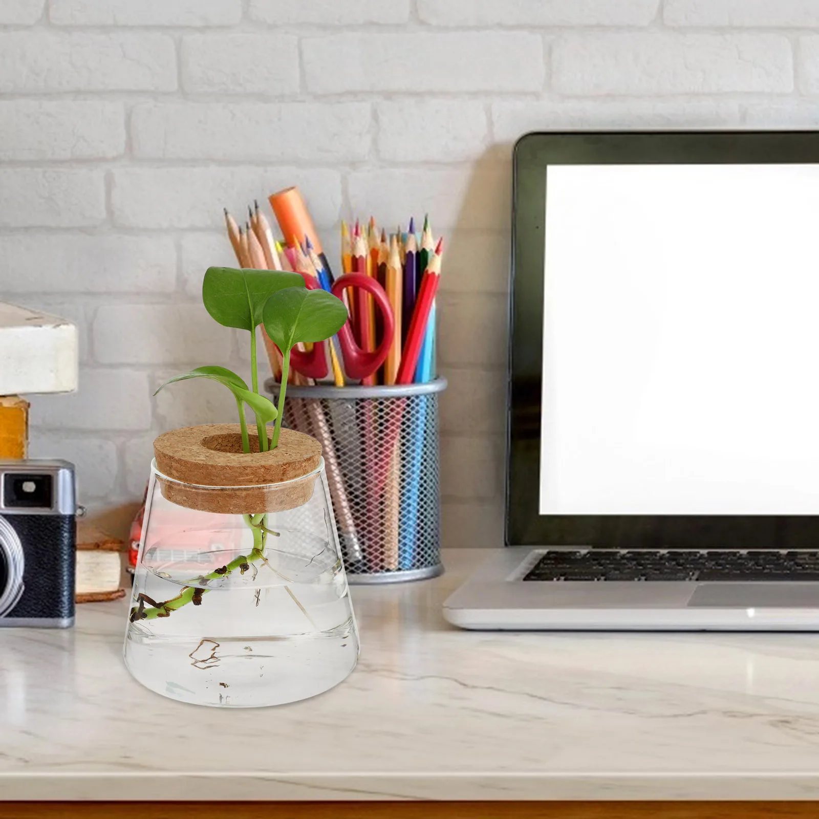 

2Pcs Glass Ecological Bottle Round Hydroponic Planter Vase Simple Design Home Decorative Vase for Plants Desktop Garden