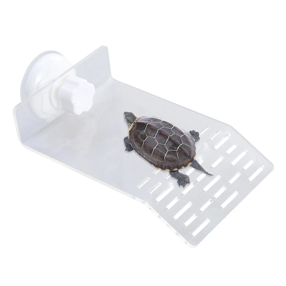 

Acrylic Turtle Basking Platform Large Floating Dock Decor Retro Style Eco Material Safe Fresh Salt Water Easy Clean Transparent