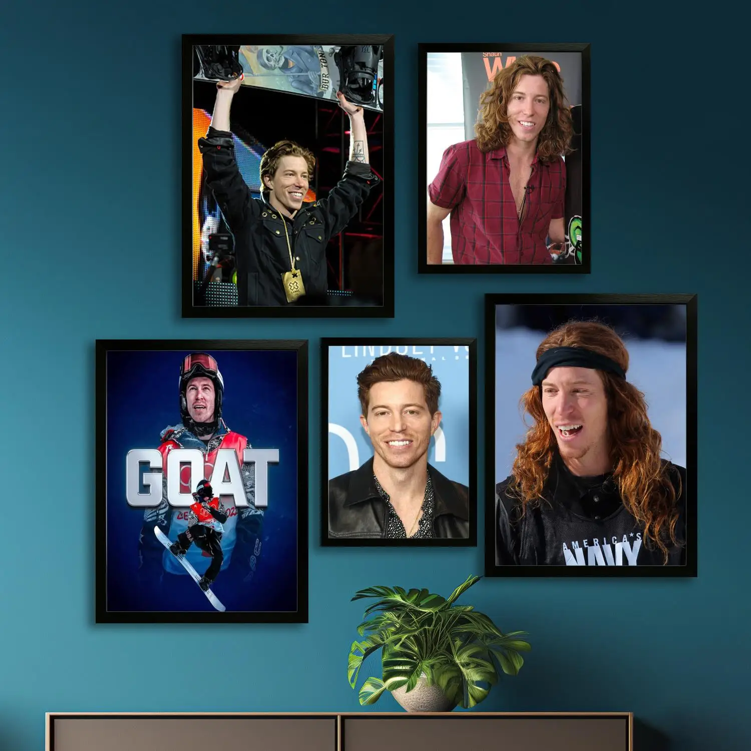 shaun white Skateboard Canvas Art Poster and Wall Art Picture Print, Modern Family Bedroom Decor Posters,Decorative painting