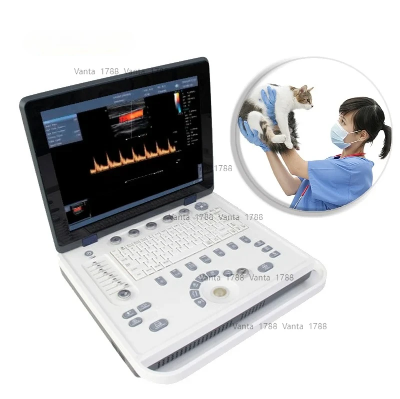 Yonker Other Veteri… - image