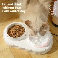 Heated Thermostatic Pet Ceramic Double Bowl USB Dog Dispenser Bowl Heated Rechargeable Cat Food Drinking Supplies