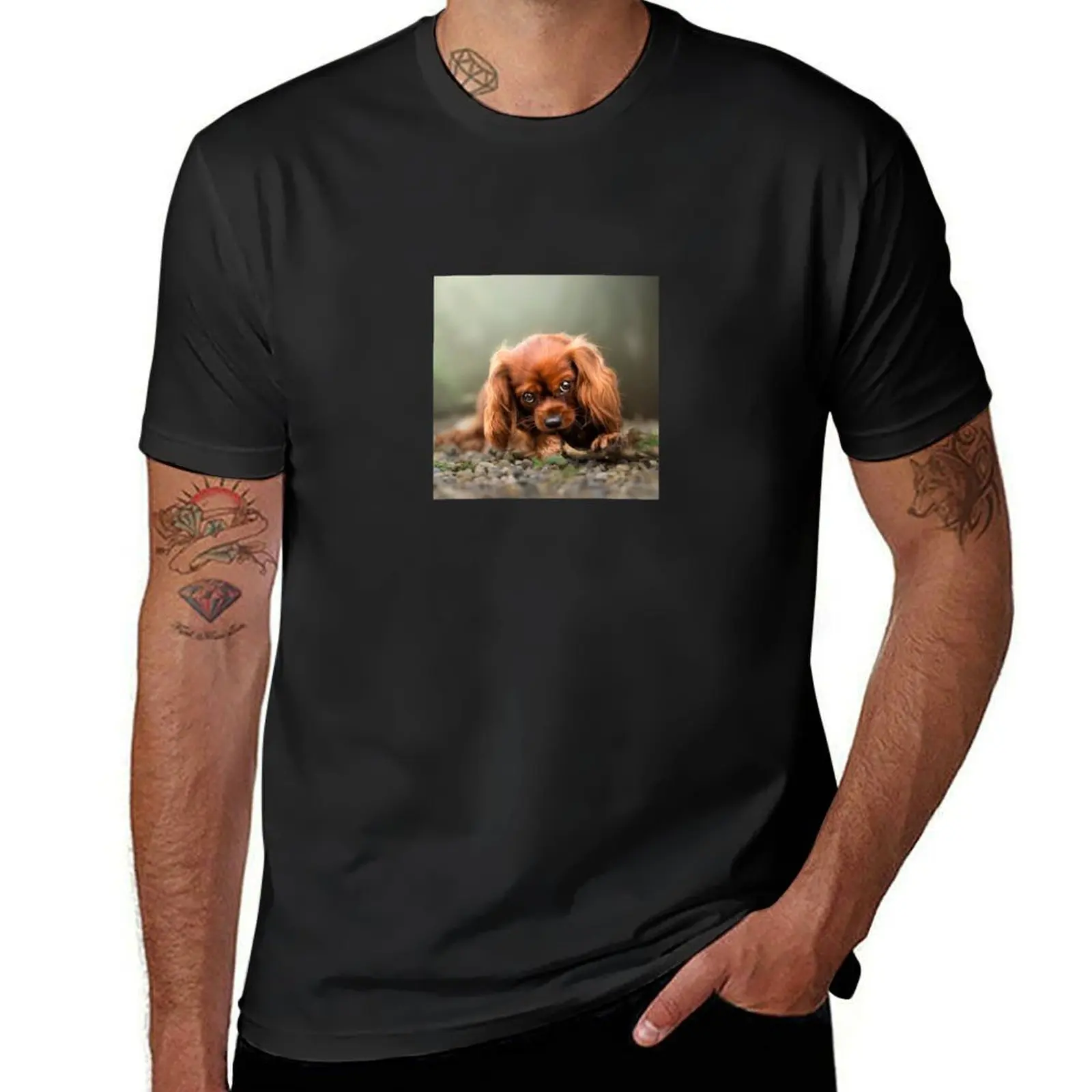 Cavalier King Charles Spaniel puppy, sweet eyes, looks beautiful T-Shirt summer tops Blouse boys whites t shirts for men graphic