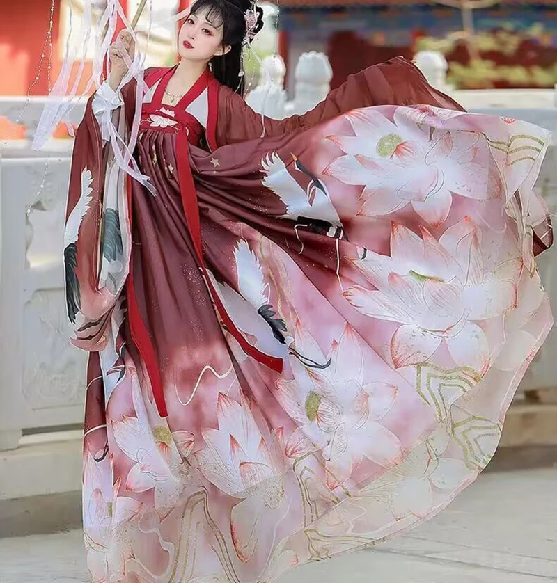 Tang Dynasty Hanfu Dress maniche grandi Cosplay Chinese Hanfu Fairy Dress gonna Ruqun cinese antico Costume cinese Vestido Hanfu