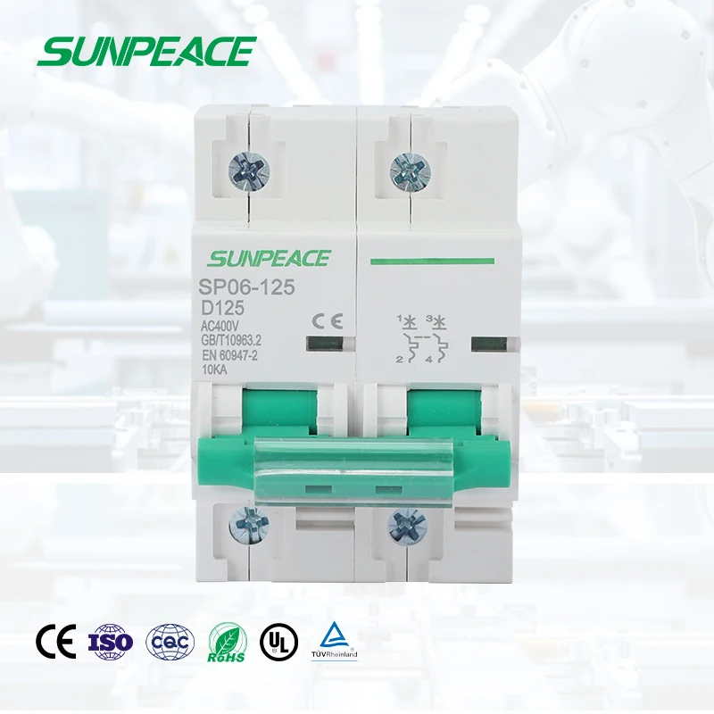 

Dc Mcb Electrical Miniature Circuit Breaker 80A 100A 125A 1P 2P 3P 4P 250V 500V 750V 1000V