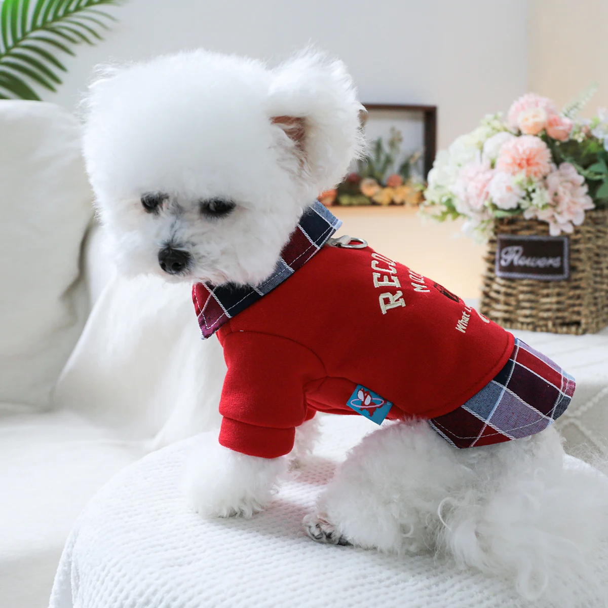 1PC Pet Clothing Spring and Autumn Velvet Red Camera Fake Two Piece Jacket Suitable for Small and Medium sized Dogs