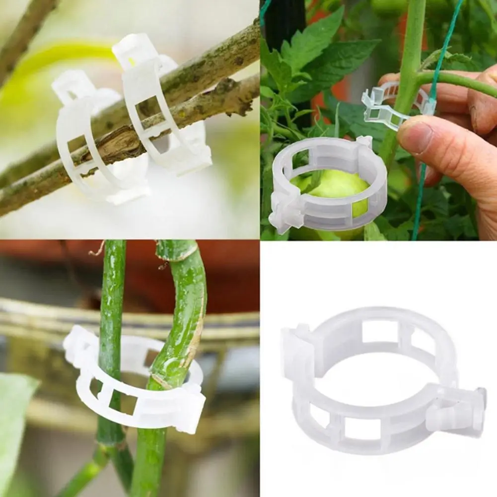 50/100pcs Plastic Plant Support Clips Reusable Plant Tool Grafting Supplies Vegetable Tomato Protect Vine Garden Connects F C5p5