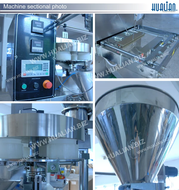 DXDK-100ZII  Pyramidal Packing Machine