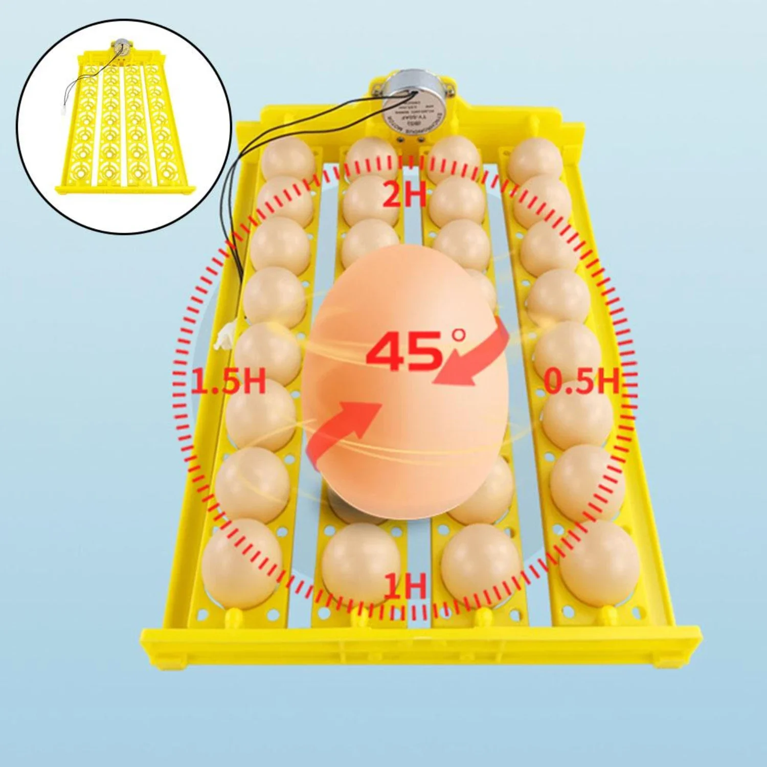 Automatic Egg Incubator Tray Hatcher, Pato Pequeno, Pássaro, Aves, Portátil, Eficiente, Recursos Avançados, Perfeito para Hobb