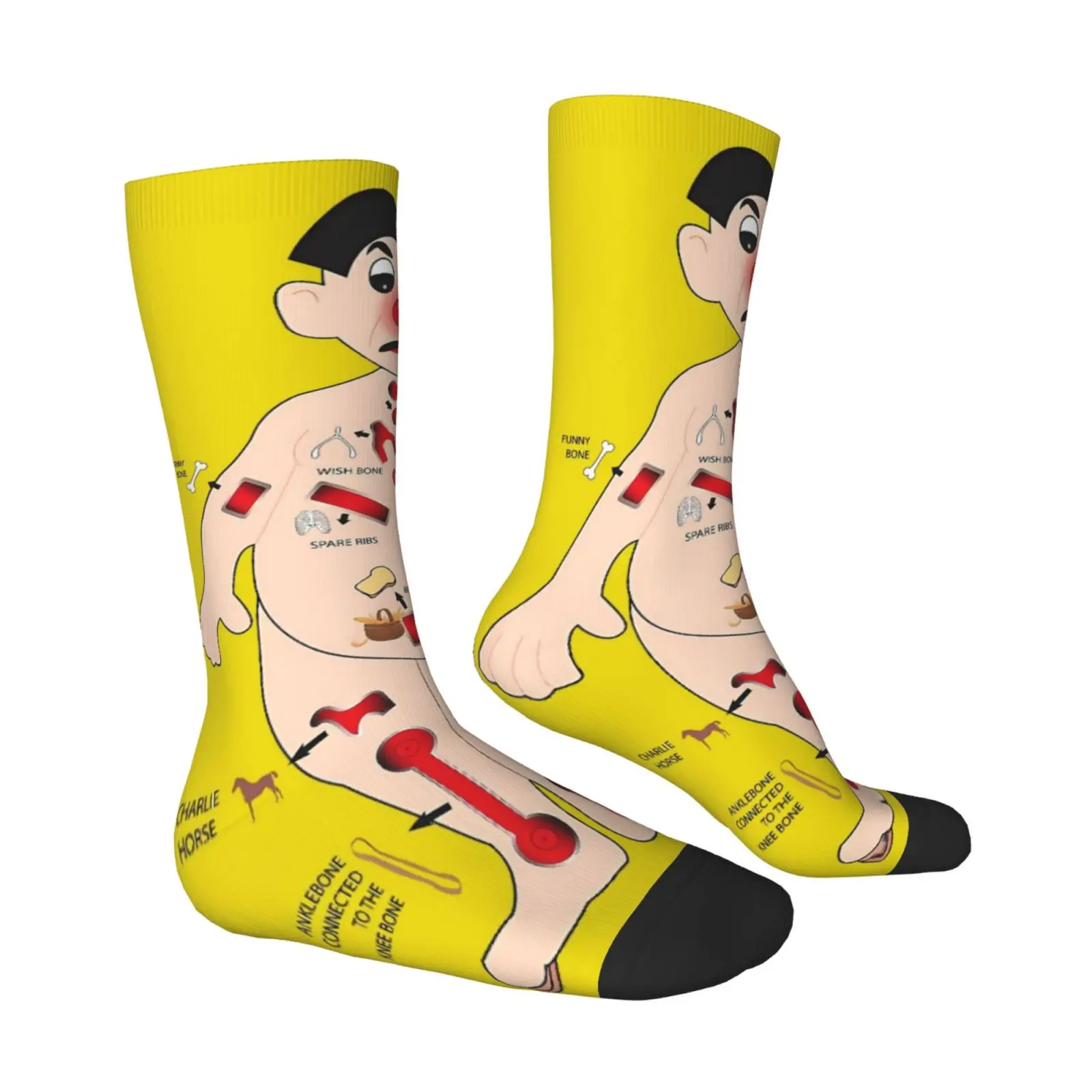 Themed Anatomical Chart Socks for Men Women Doctor Nurse Gift with Labeled Body Parts Heart Lungs Brain Breathable Polyester