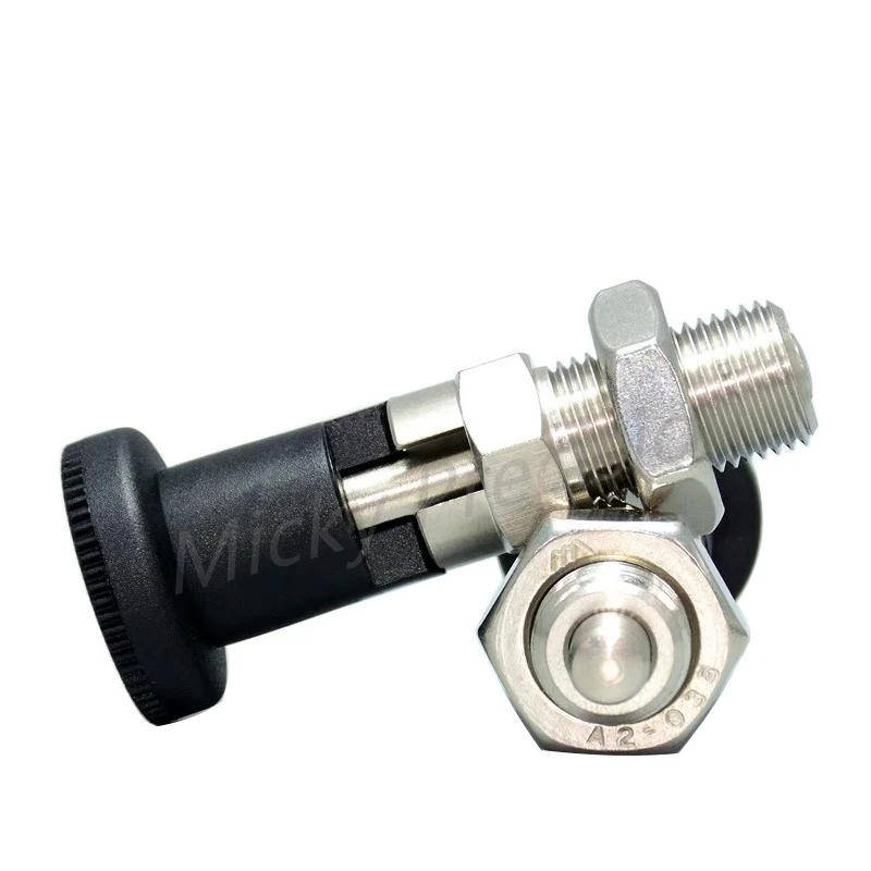 Index Plunger  Stainless steel 304 Pull Ring and Lock Nut Screw Index plungers with Ring and Lock Pin M10 M12 M16 M20