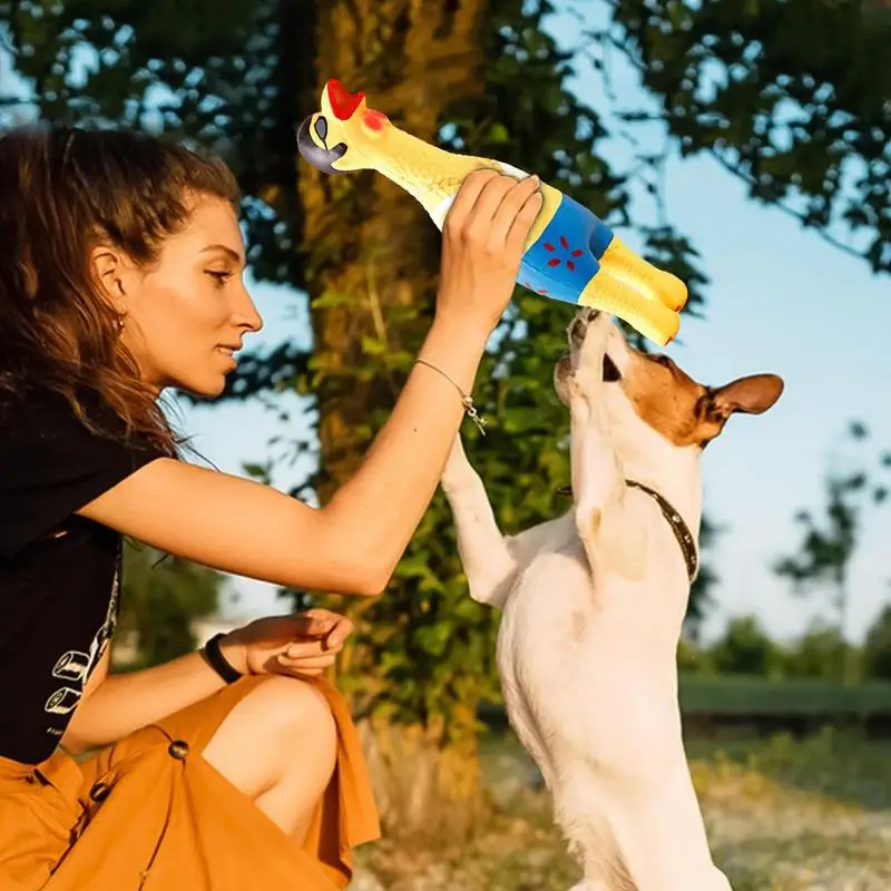 Jouet à Mâcher Jetable pour Chien et Chat, Nouveauté Amusante