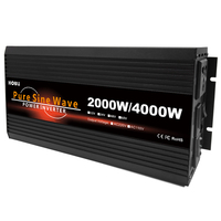 4000W Car Power Inverter DC 12V To 24V Converter Pure Sine Wave Inverter 12V 48V 60V Off Grid Inverters 220V