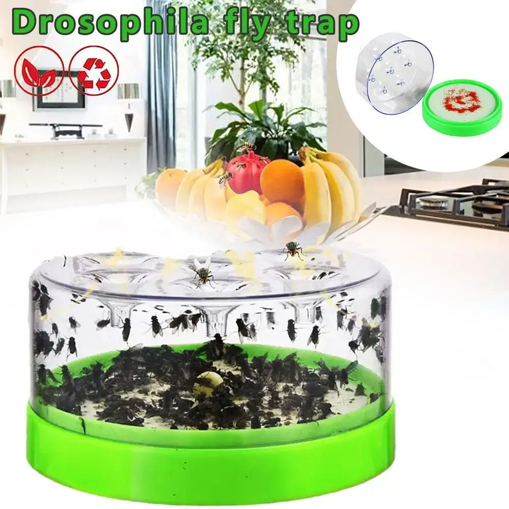 Reusable Fruit Fly Catcher Tool Fly Insect Trap Gnat Both For Indoor Outdoor Pest Control Insect Reject Fly Trap Catcher Cage