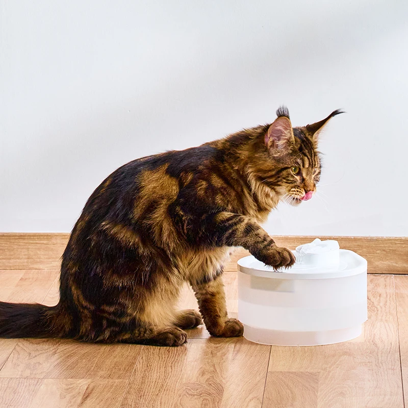 

Professional Pet Water Dispenser Blue Light Anti-Bacteria Smart Automatic Pet Feeder and Water Dispenser Ultra-Long Battery Life