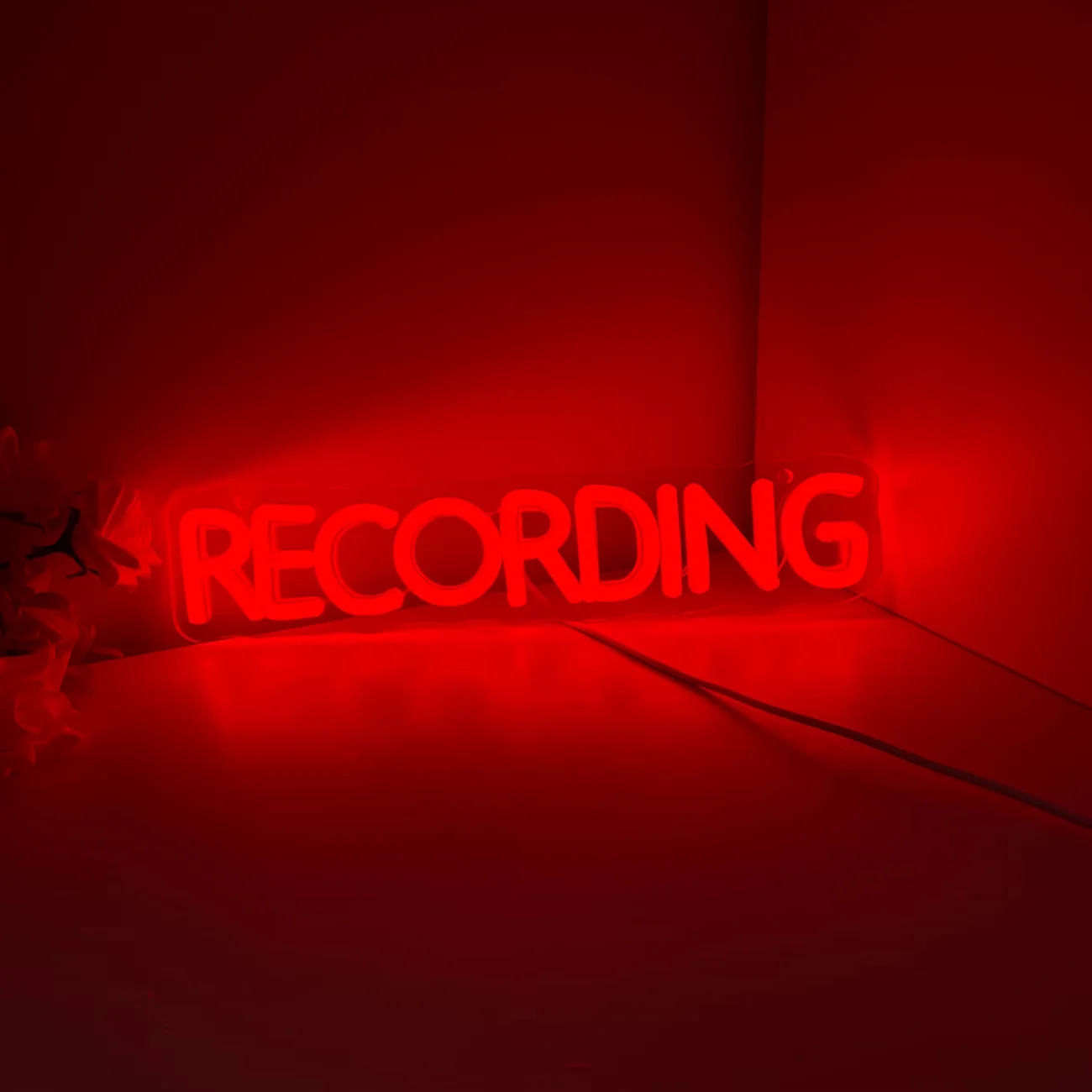 Recording Neon Sign for Recording Studio,Podcast Room,Home Music Studio,Broadcasting Room,Live Stream Setup,Gaming Room,Birthday