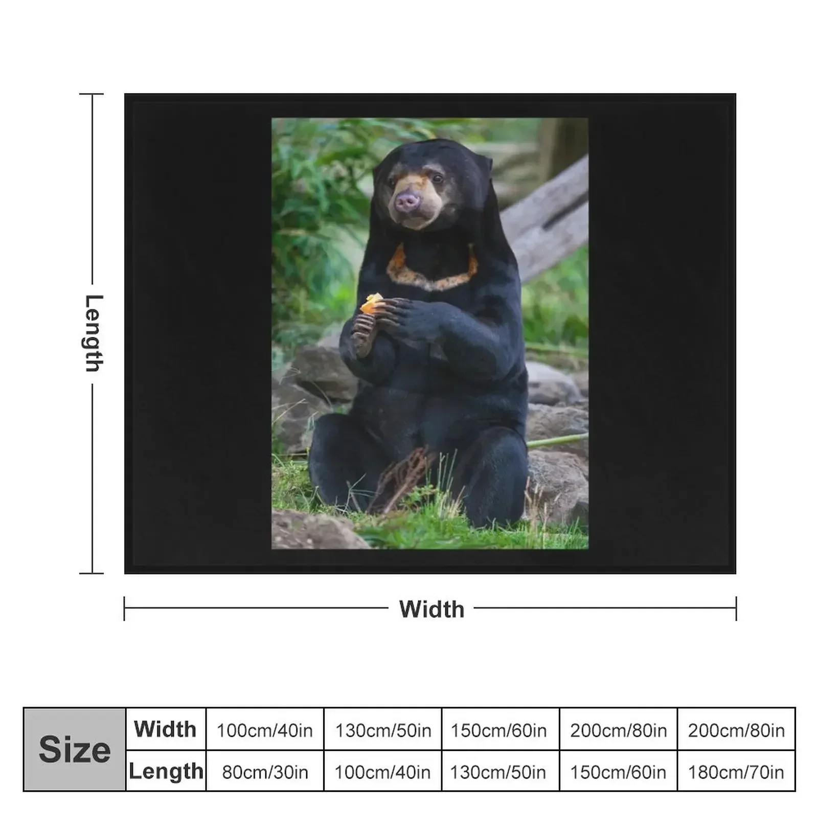 Malayan Sun Bear Contemplating Throw Blanket Multi-Purpose Beach Luxury St Blankets