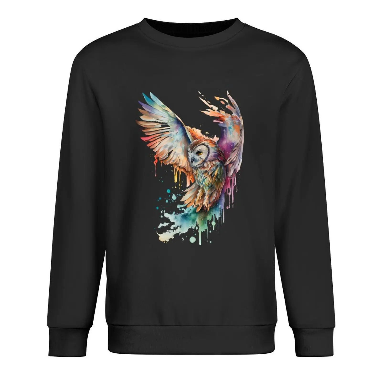 

The Rainbow Owl Pullover mens designer clothes male clothes men's clothing tracksuit men men's sweatshirt