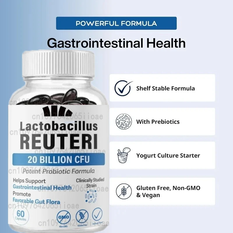 Lactobacillus probiotics 20 billion CFU L Reuteri probiotics intestinal health support -60 capsules