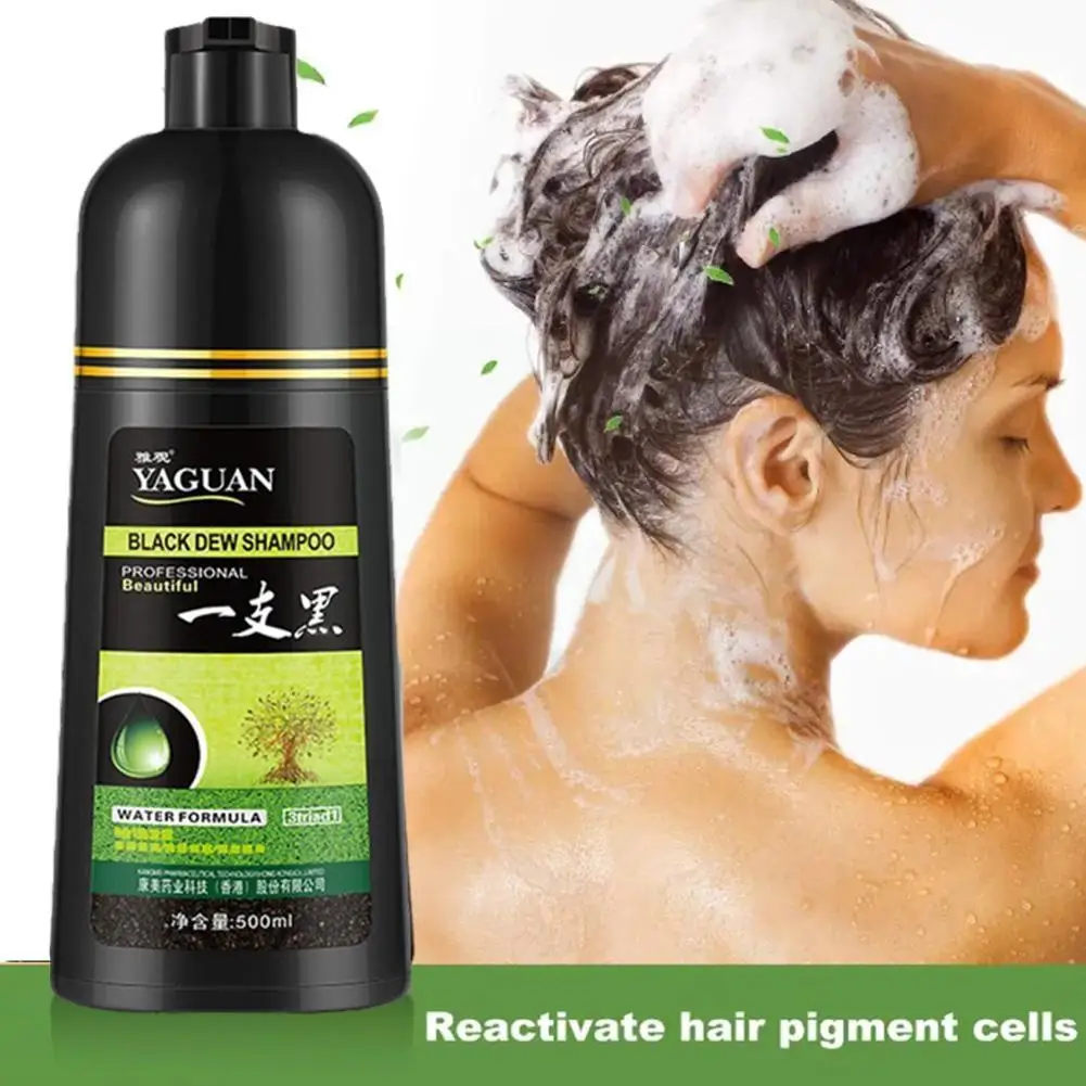 Hair Color Dye Shampoo Creme para Homens e Mulheres, Orgânico, Permanente, Covers, Branco, Cinza, Natural, Gengibre, Essência, Preto, F4U3, 500ml