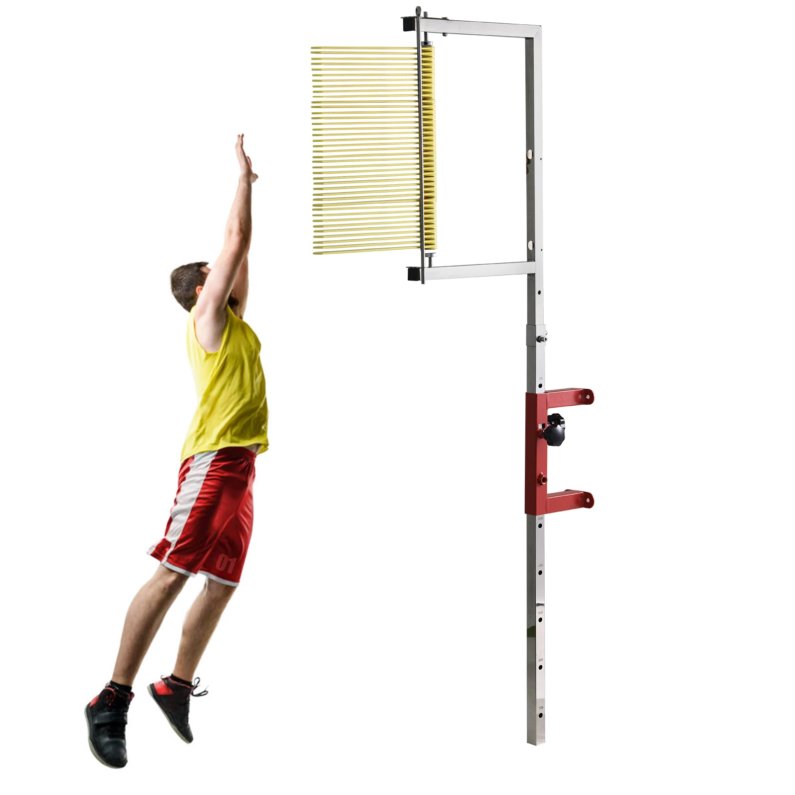 Vertical Jump Measu…